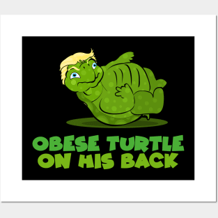 Obese Turtle on his back Posters and Art